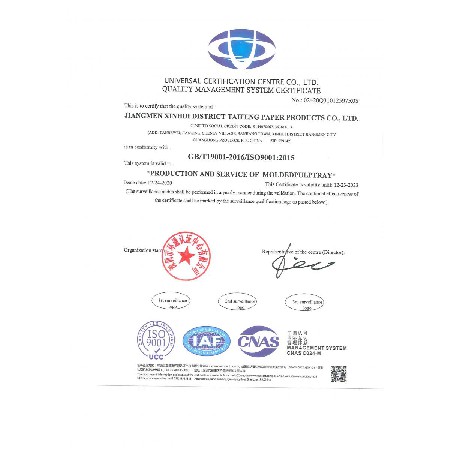 泰丰ISO证书2020_1